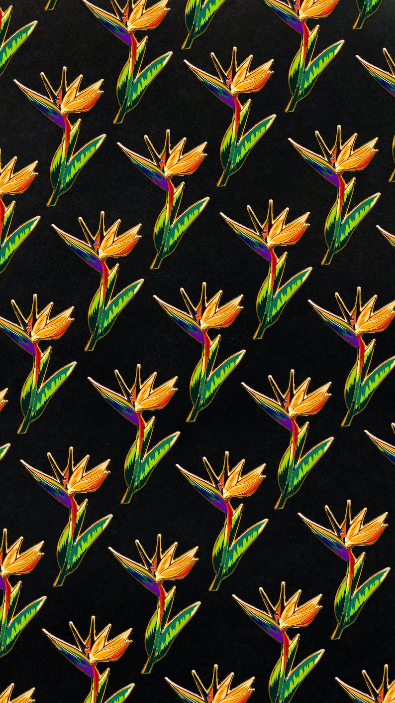 Bird of Paradise Plant Hard En - Paradise Jewelry & Watches Llc Miami Photos บทวิจารณ์และราคา