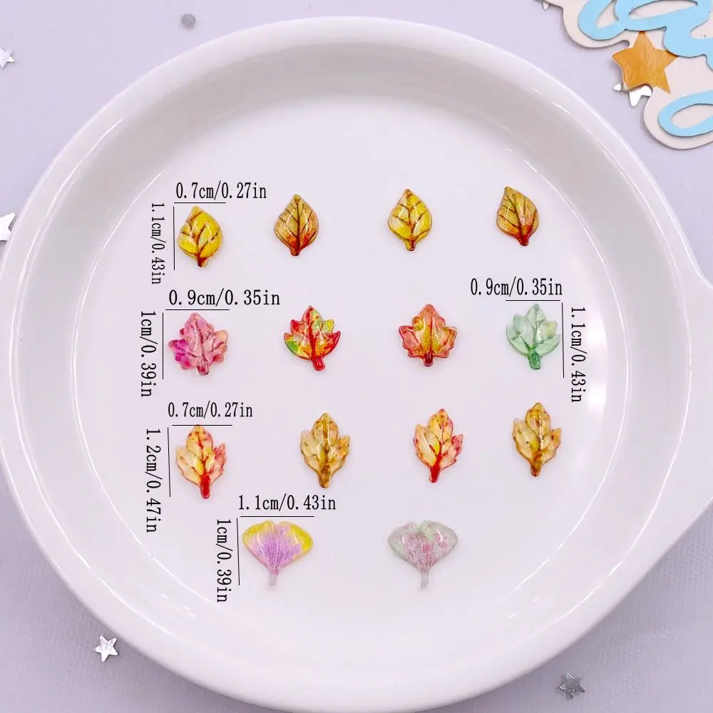 50pcs ผสมเรซิ่นมินิคริสตัล Map - Paradise Jewelry & Watches Llc Miami Photos บทวิจารณ์และราคา